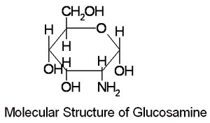 Resultado de imagen de glucosamina estructura